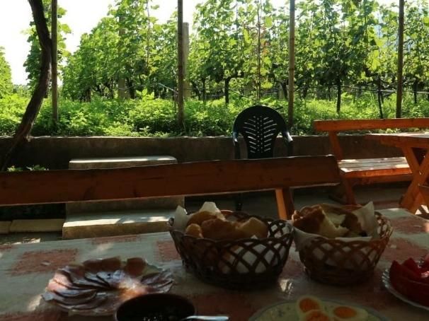Фермерские дома Vržina Farm house Вирпазар