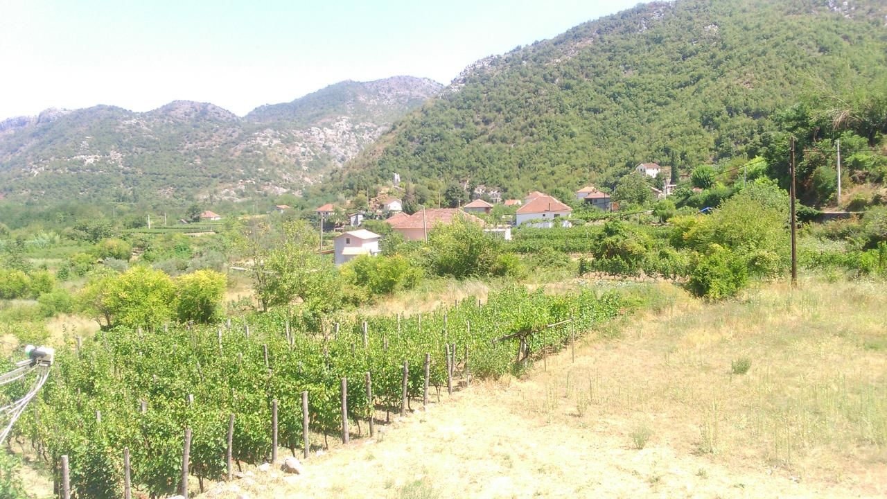 Фермерские дома Vržina Farm house Вирпазар-47