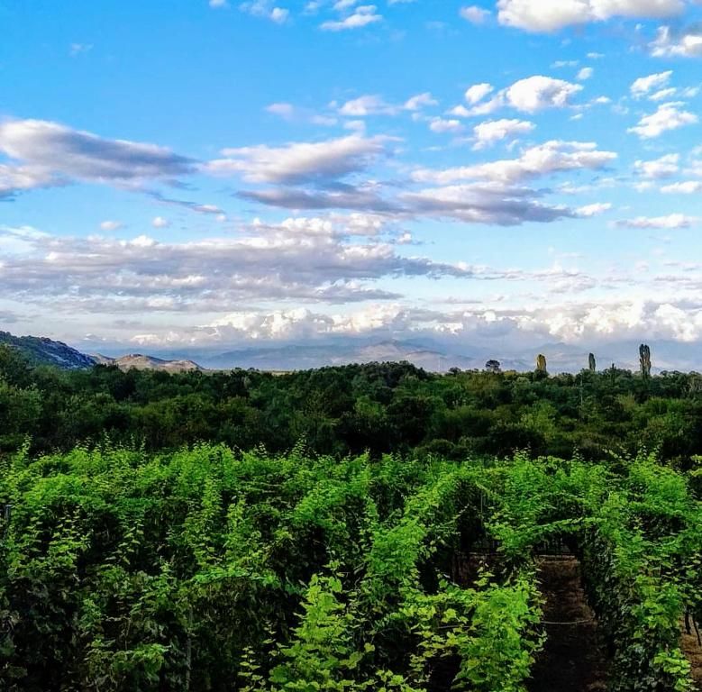Фермерские дома Vržina Farm house Вирпазар