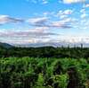 Фермерские дома Vržina Farm house Вирпазар-2