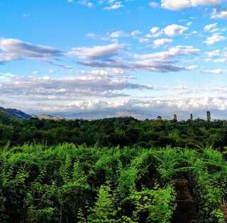 Фермерские дома Vržina Farm house Вирпазар Четырехместный номер с собственной ванной комнатой-32