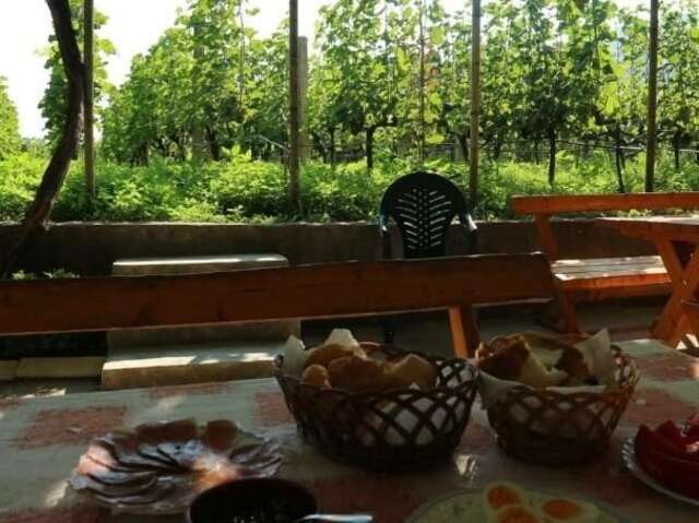 Фермерские дома Vržina Farm house Вирпазар-16