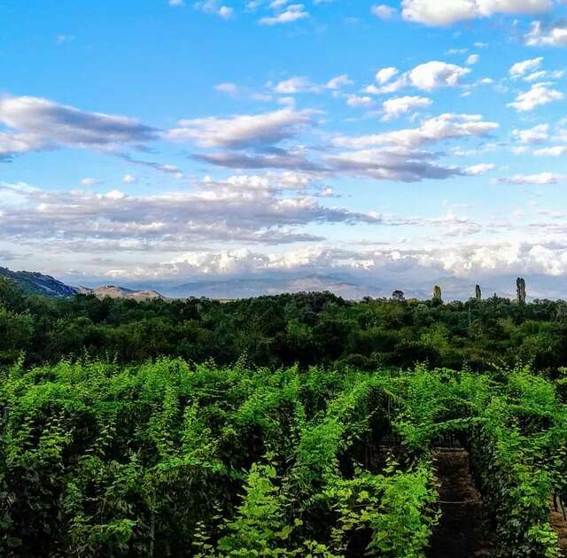 Фермерские дома Vržina Farm house Вирпазар-5