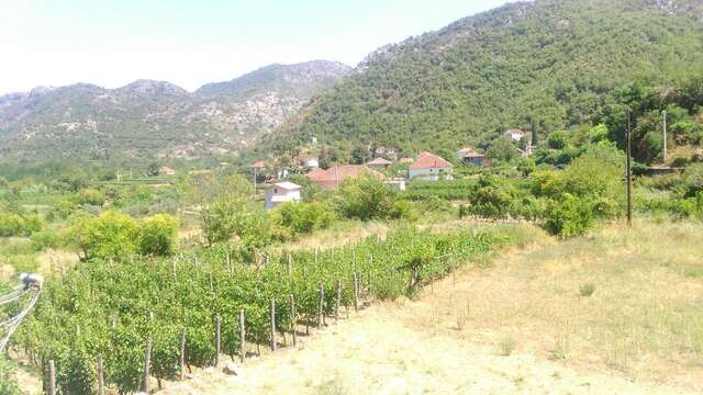 Фермерские дома Vržina Farm house Вирпазар-46