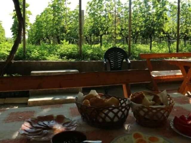 Фермерские дома Vržina Farm house Вирпазар-70